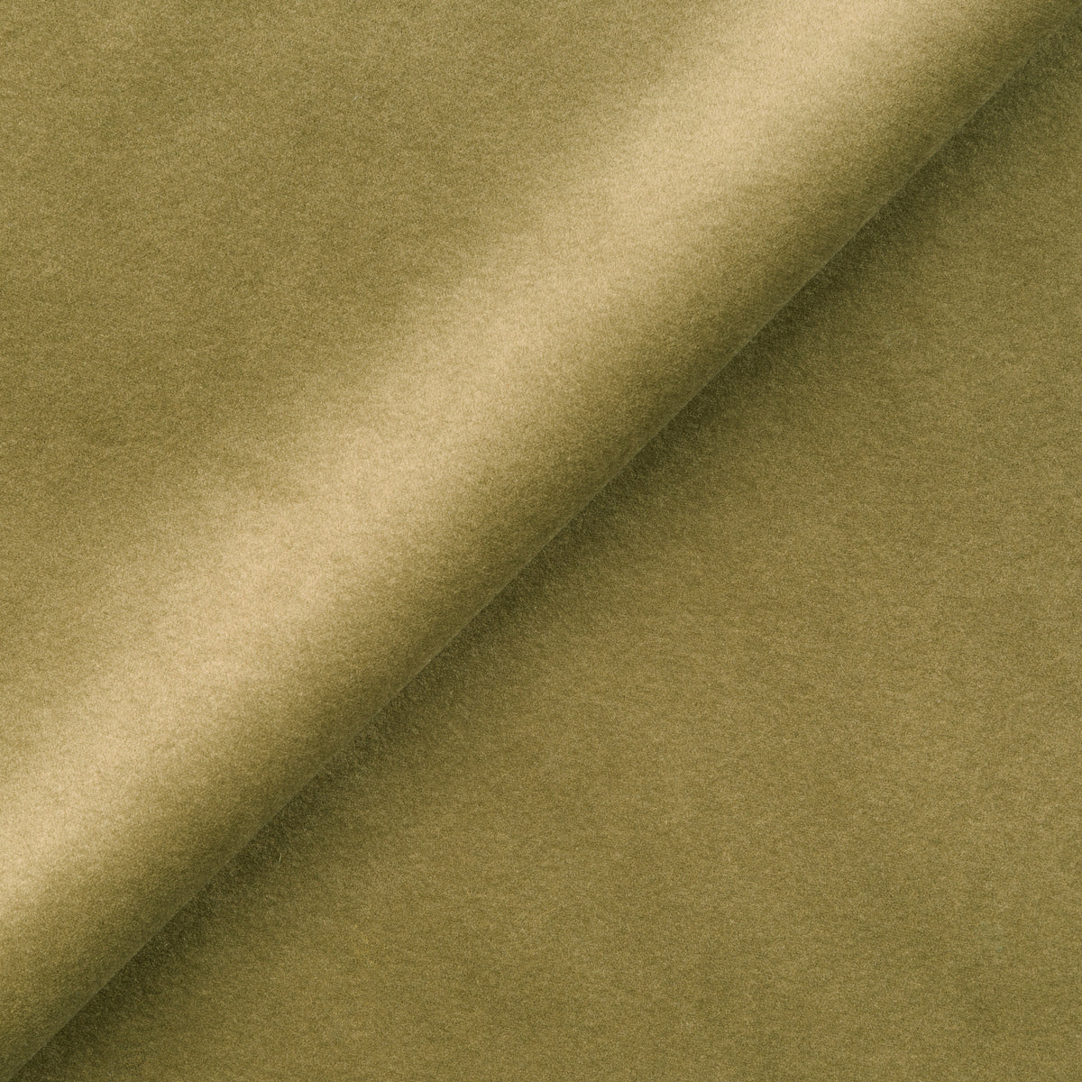 Próbnik tkanin SALVADOR Złocista Sepia (SALVADOR 08)