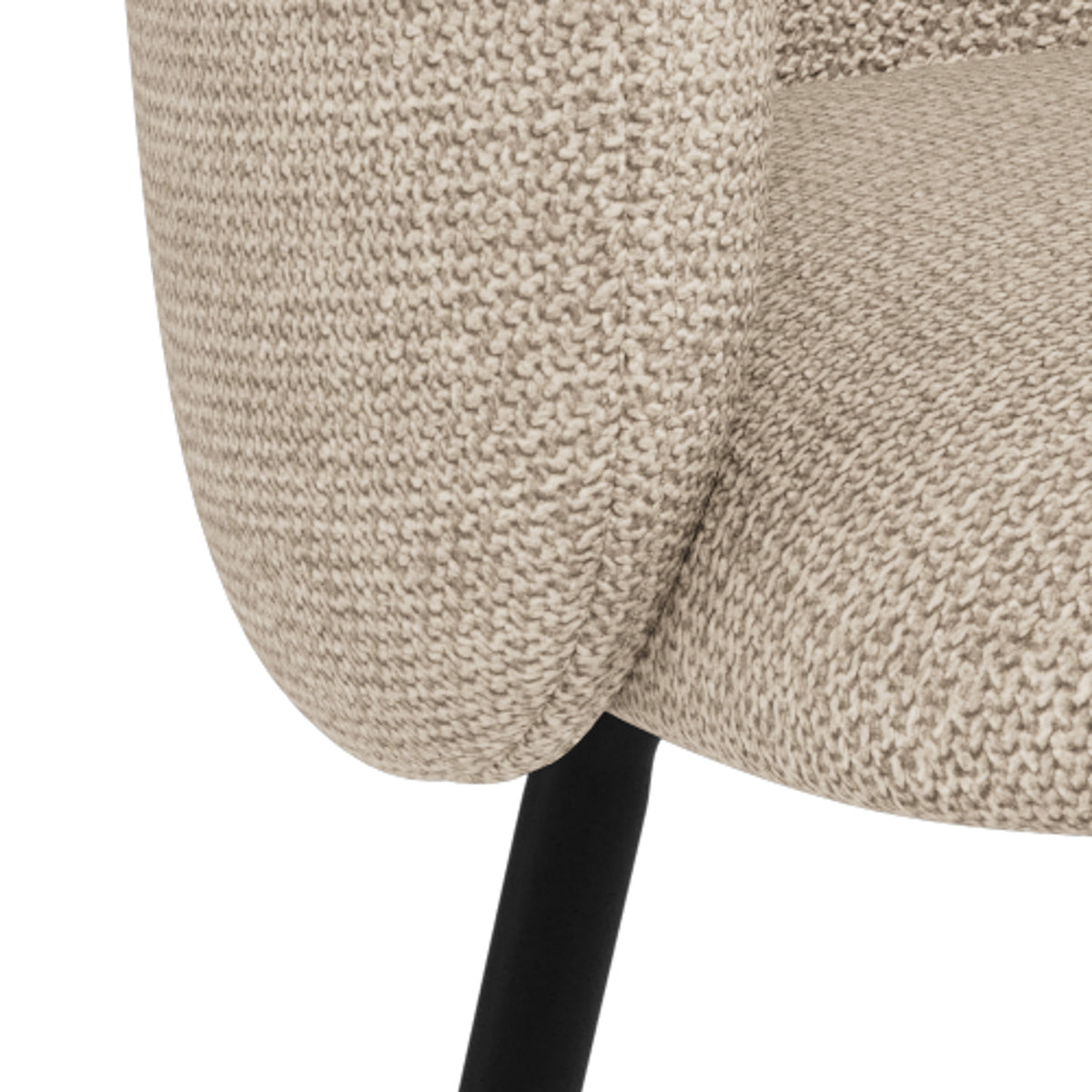 Delmo Set of Two Dining Chairs, Modern Style – close-up of details and texture